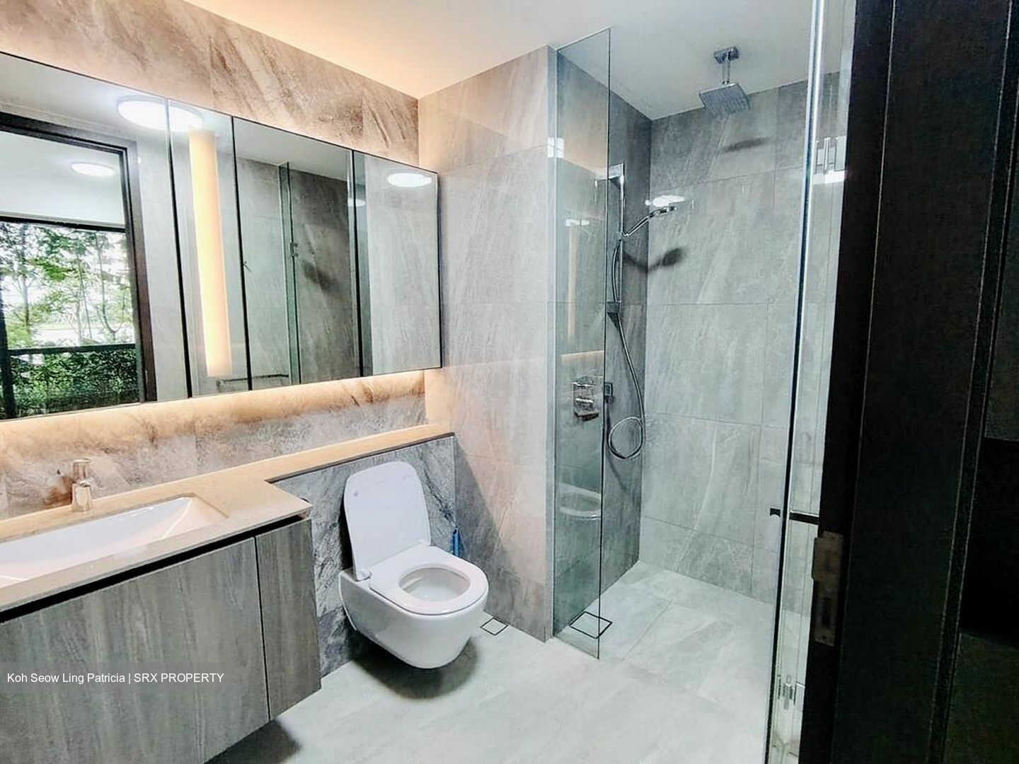 Piccadilly Grand (D8), Apartment #566302401
